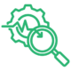 Ensure compliance with Free Zone inventory processes.